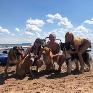 Meet your Posher, Jamie